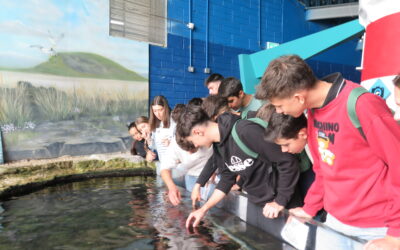 Inglés en verano en Irlanda para Jóvenes